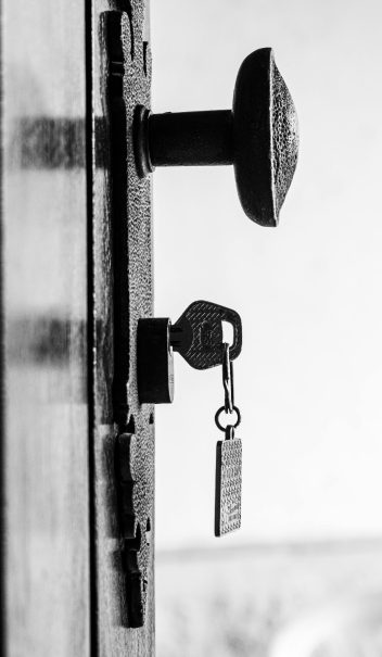 pexels-alex-dos-santos-305643819-30958693