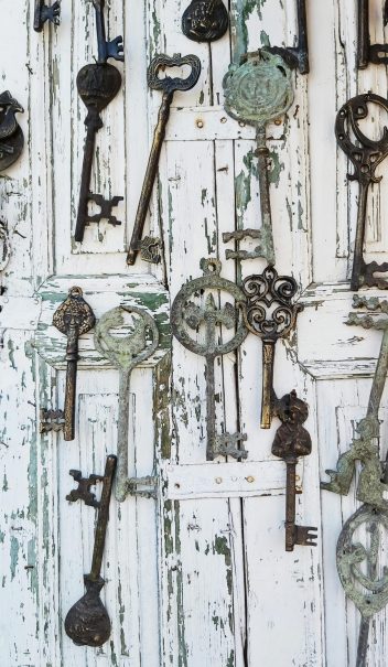 pexels-bi-yasemin-58133527-9388771