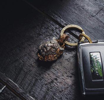 pexels-coppertist-wu-313365563-16199093