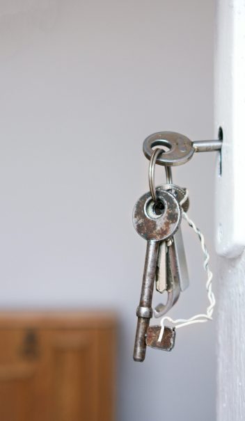 pexels-didsss-1405724