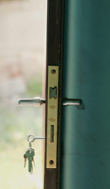 pexels-esrakorkmaz-17325288