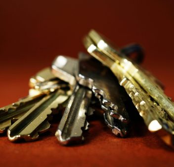 pexels-eye4dtail-333838