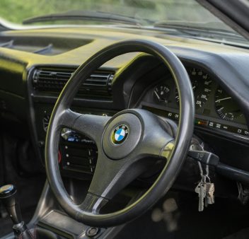 pexels-maxravier-5534986