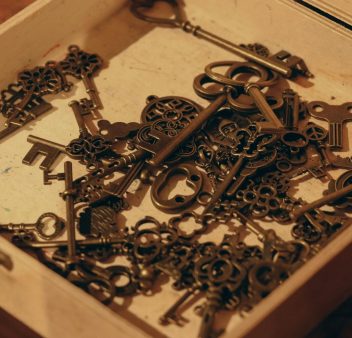 pexels-sueda-gln-327513956-15446635